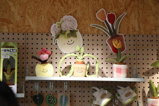 上新 “镇园之宝千岁兰”造型既独特又可爱