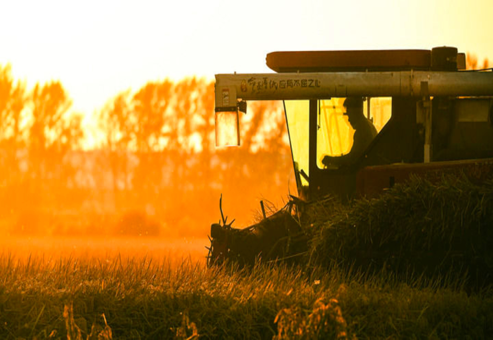 遇！“人文”与“经济”辉映共生mg不朽情缘游戏登录入口双节相(图9)